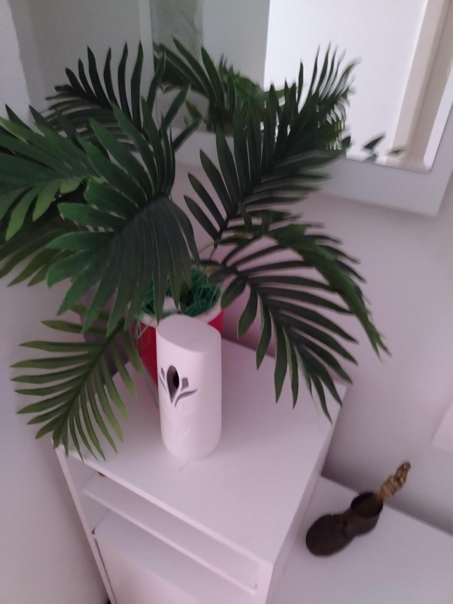Apartman Mira Požarevac Buitenkant foto